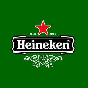 Bucket of 10 Heineken